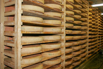 Cheese storage, Reblochon is a traditional hand made cheese of France