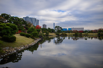 Fototapeta premium 浜離宮恩賜庭園