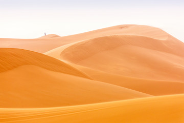 Dunes in Desert Sahara in Merzouga, Morocco. Beautiful lines of desert with sky in background