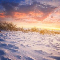 winter snowbound plain at the dramatic sunset