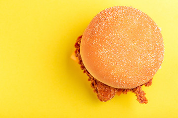 Delicious hamburger or burger with ketchup and mustard