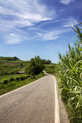 Panorami del Monferrato
