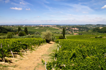 Obraz premium Panorami del Monferrato