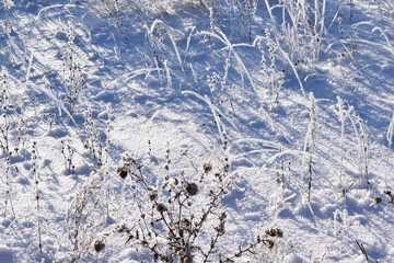 Frost on the branches of plants.Winter meadows.