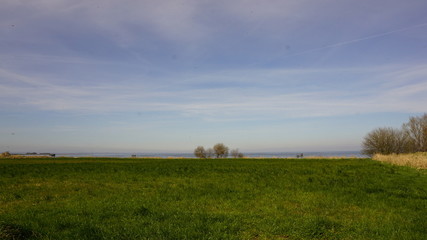 landscape with wheat field and blue sky