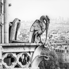 Stone statue of a chimerical bird on the towers gallery of Notre-Dame de Paris cathedral overlooking the city vanishing in the mist in the distance.