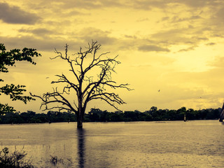 Landschaftsbilder von Sri Lanka
