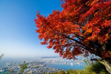 紅葉　屋島山上　瀬戸内海　高松市街並み