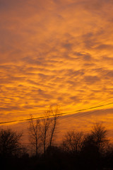 Obraz premium Beautiful and colorful sunset. Red color.