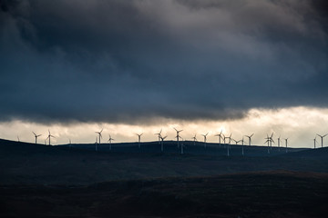 Windfarm