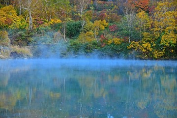 八甲田山 酸ヶ湯 地獄沼の紅葉と湧き出す温泉の情景