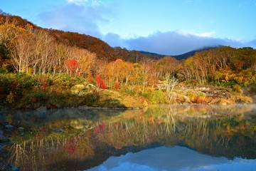 八甲田山 酸ヶ湯 地獄沼の紅葉と湧き出す温泉の光と影の情景