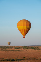 balloons flying over savanna