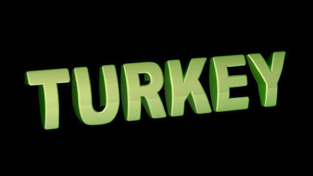 Turkey. Looping footage has 4K resolution and alpha channel. Prores 4444. 3D Illustration.