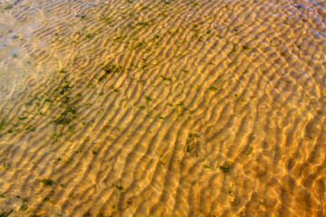 Transparent beach