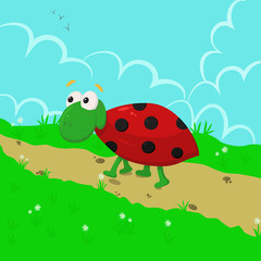 ladybug in the meadow - vector  illustration, eps