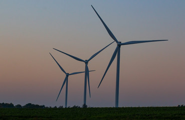 windmills in the landscape