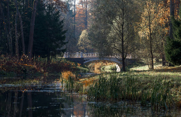 King's Bridge. Pushkin Autumn