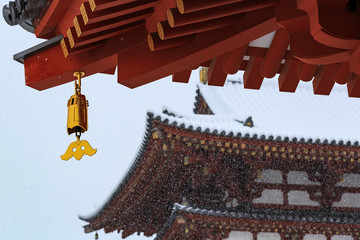 Fototapeta na wymiar 日本の奈良県にある薬師寺