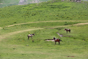 Beautiful view of Georgian mountains Kazbegi