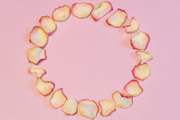 Obraz premium Frame of dried cream rose petals in circle shape on pink pastel
