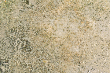 vintage wall cement old texture damage floor concrete for background