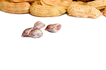 peanut group. nuts close up on white background