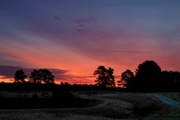 Beautiful colorful sunrise with an old country road head towards the light. Raleigh North Carolina