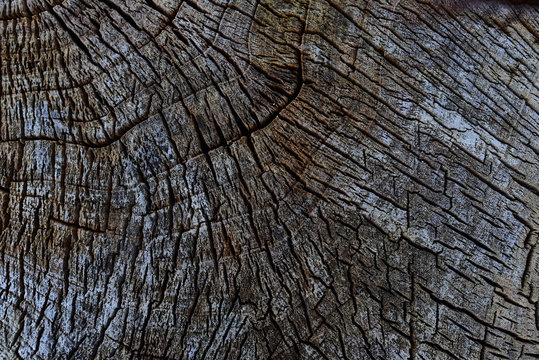 Fototapeta Wood texture