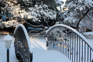 Winter background of snow and frost with free space for your decoration.