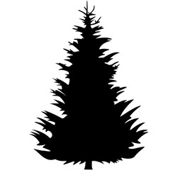 Tanne Silhouette