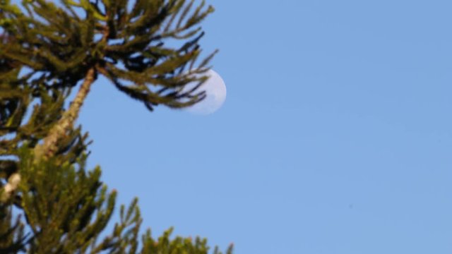 Lua e c&eacute;u azul