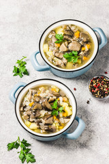 Healthy vegan wild mushroom soup in pots on grey concrete background. Top view, space for text.