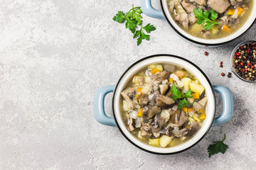Healthy vegan wild mushroom soup in pots on grey concrete background. Top view, space for text.