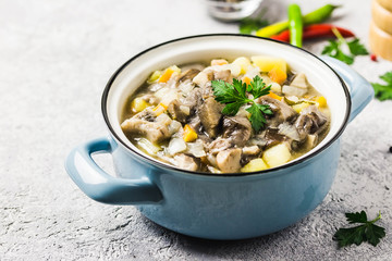 Healthy vegan wild mushroom soup in pots on grey concrete background. Selective focus, space for text.