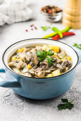 Healthy vegan wild mushroom soup in pots on grey concrete background. Selective focus, space for text.