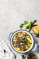 Healthy vegan wild mushroom soup in pots on grey concrete background. Selective focus, space for text.