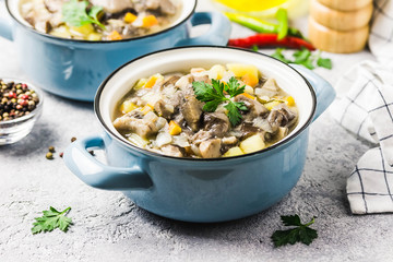 Healthy vegan wild mushroom soup in pots on grey concrete background. Selective focus, space for text.