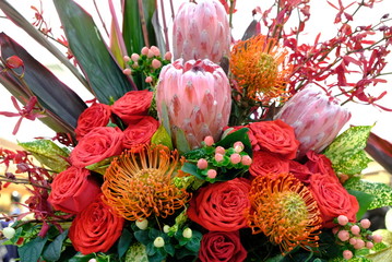 Luxury bouquet of fresh flowers protea and roses.