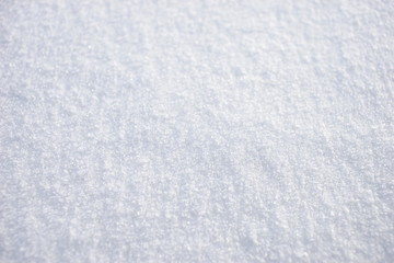 Snow close up.