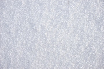Snow close up.