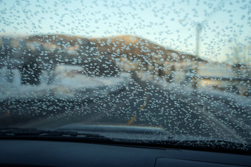 Driving car with frozen front window.