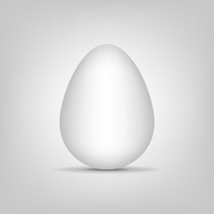Vector white single realistic animal egg. Vector illustration.