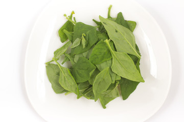 Brazilian Spinach in a plate. Spinacia oleracea. Top view