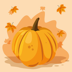Pumpkin vegetable design