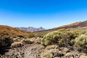 Nationalpark El Teide in Teneriffa,