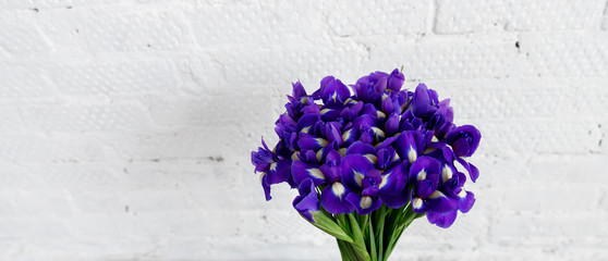 Bouquet of flowers iris on white brick