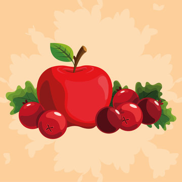 red apple and cranberries on beige background clip art preview
