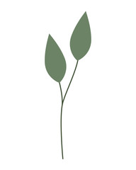 branch leaves nature on white background