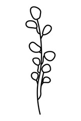 floral leaves foliage on white background